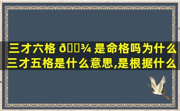 三才六格 🌾 是命格吗为什么（三才五格是什么意思,是根据什么算出来的）